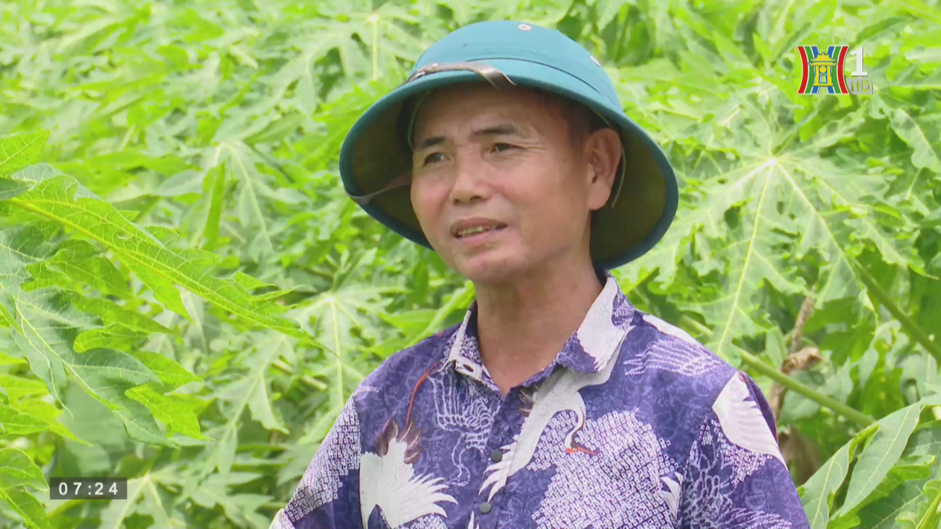 Nhà nông hiếu khách: Mô hình HTX dịch vụ kinh doanh tổng họp của xã Nam Sơn - huyện Sóc Sơn