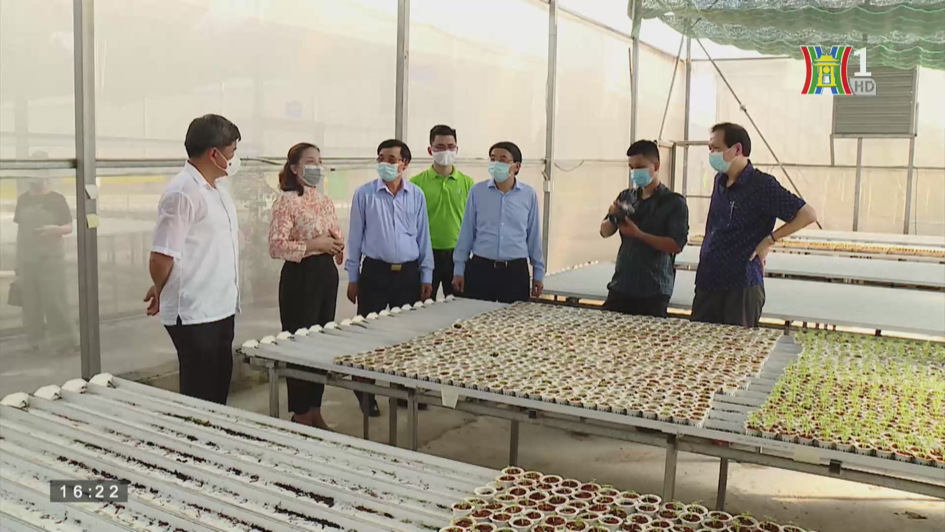Nông nghiệp xanh: Phát triển nguồn cung ứng nông sản tại Hà Nội