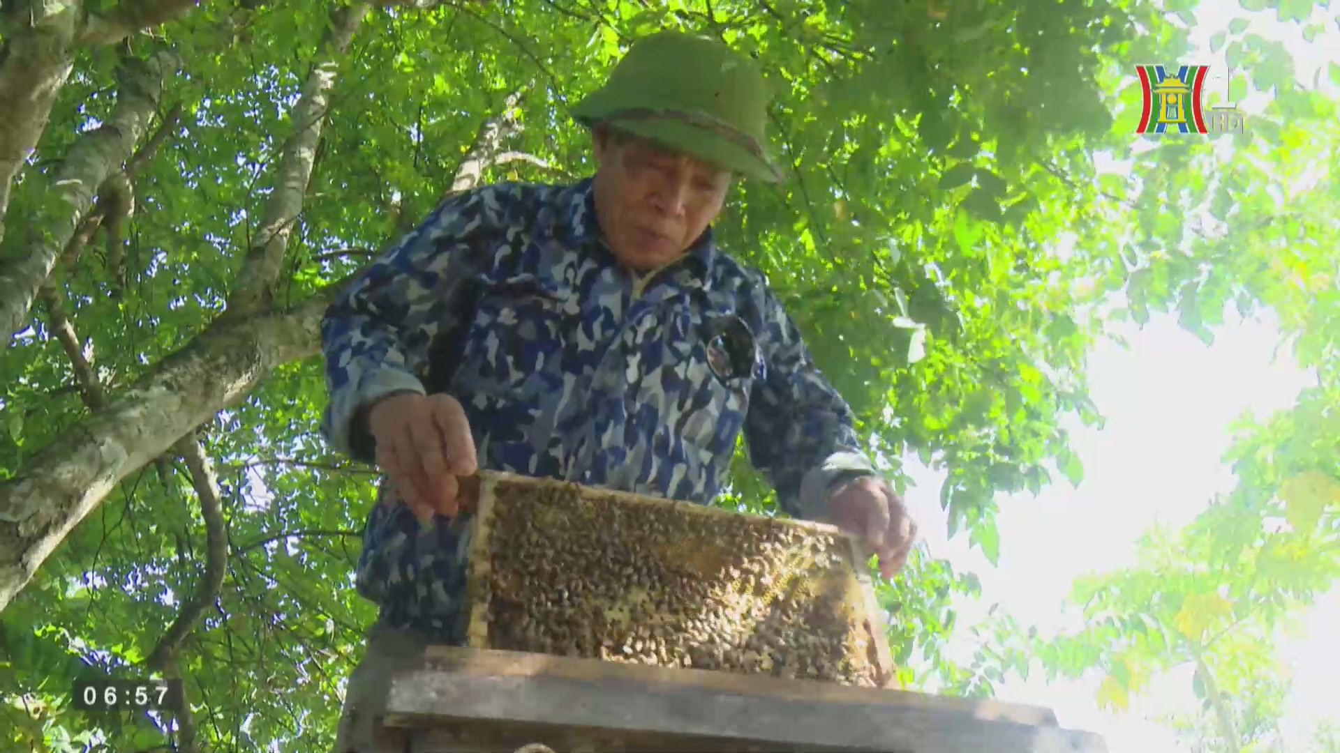 Cựu chiến binh làm giàu từ nuôi ong