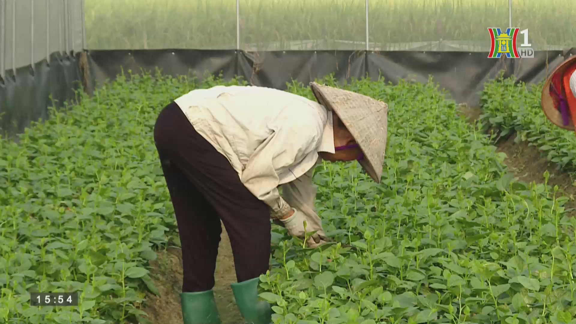 Sản phẩm của nữ nông dân Việt Nam xuất sắc năm 2021