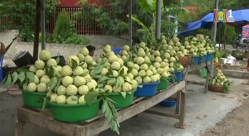 Xúc tiến thương mại nông nghiệp: Xúc tiến thương mại Hà Nội - Lạng Sơn