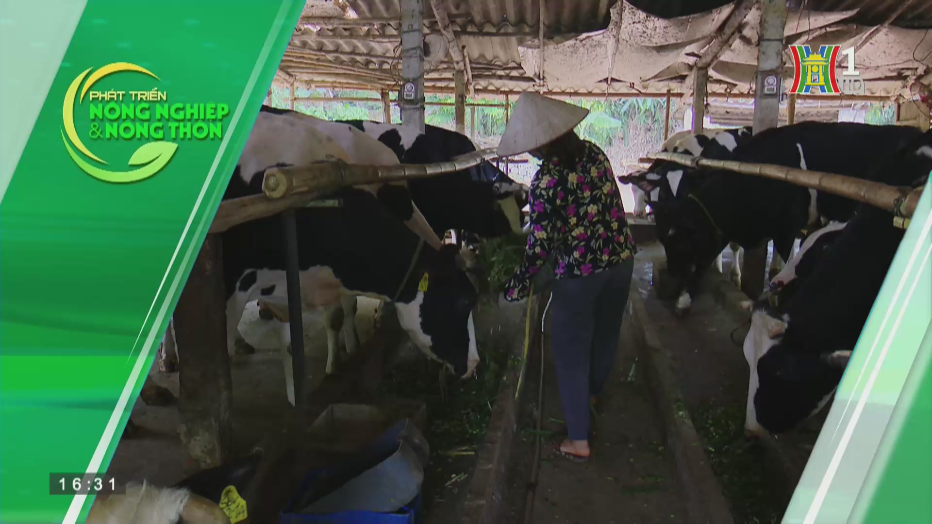 Phát huy hiệu quả nguồn quỹ hỗ trợ nông dân tại Hà Nội